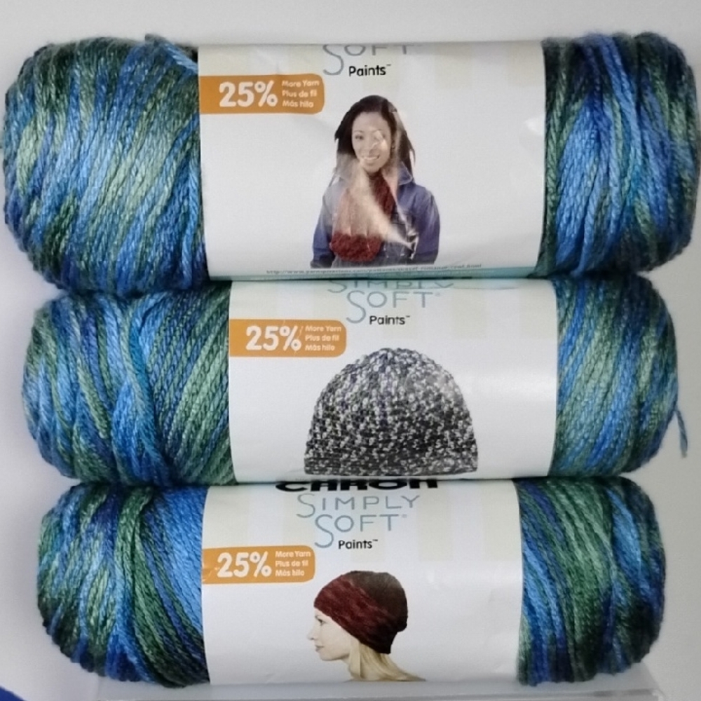 Caron Simply Soft Yarn Spring Brook Paints Acrylic 4 Medium Worsted 3 Skeins